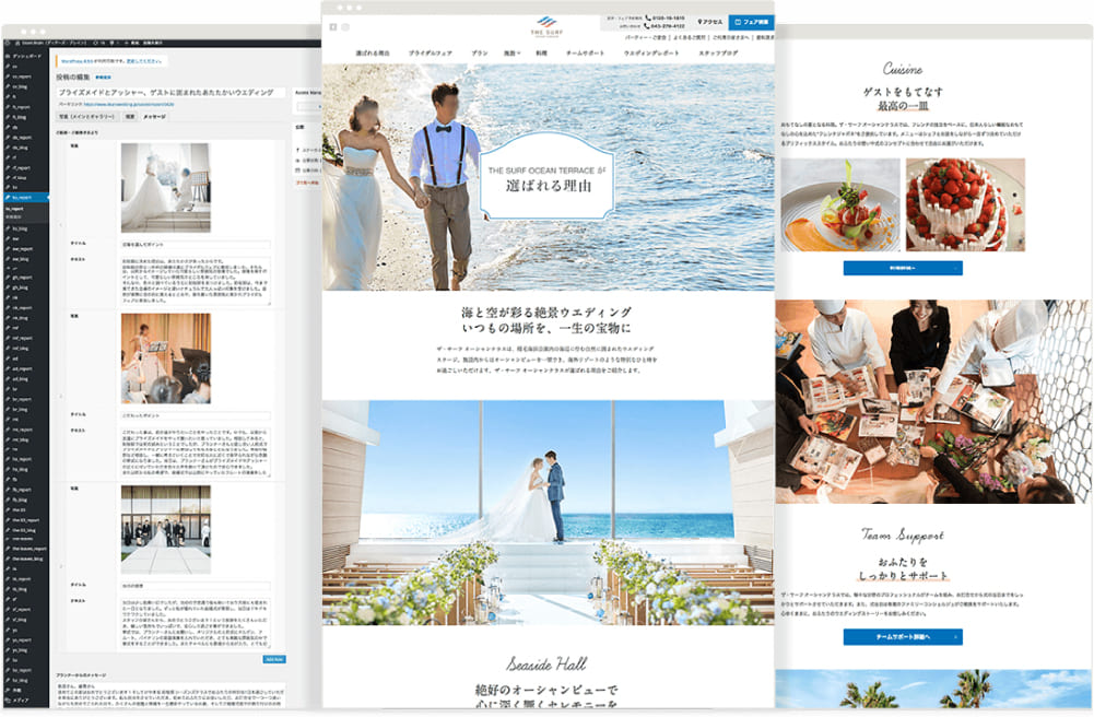 Captured images of the website