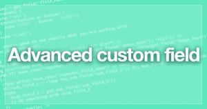 WordPressプラグイン「Advanced custom field」の基本的な使い方と用例