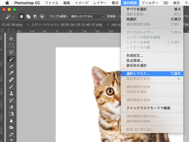 「選択範囲メニュー」から「選択とマスク」のキャプチャ画像