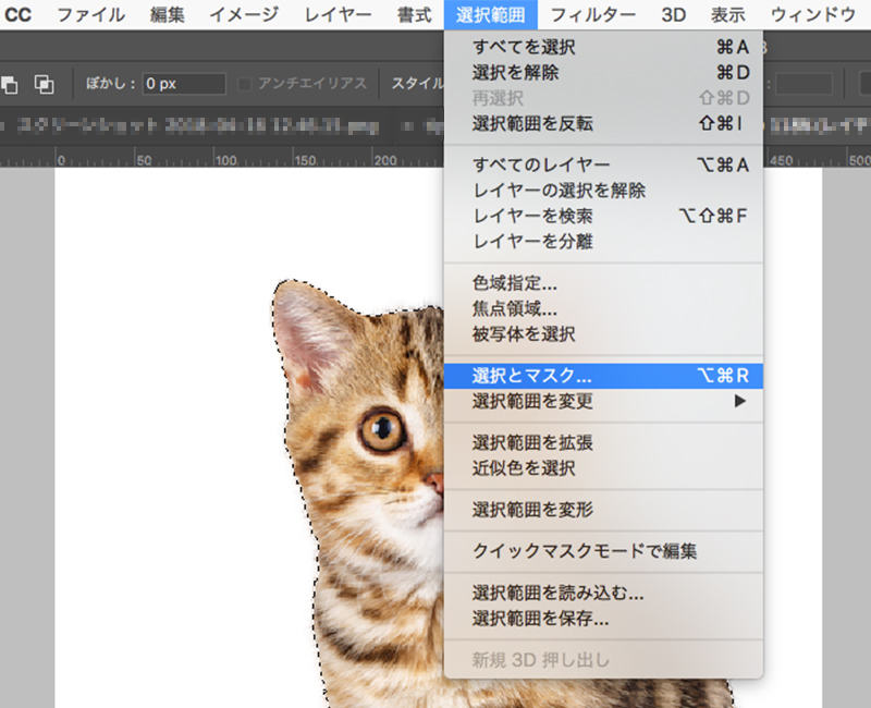「選択範囲メニュー」から「選択とマスク」のキャプチャ画像